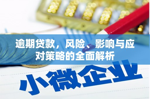 滨州逾期贷款，风险、影响与应对策略的全面解析