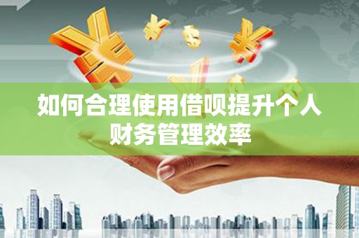 滨州如何合理使用借呗提升个人财务管理效率