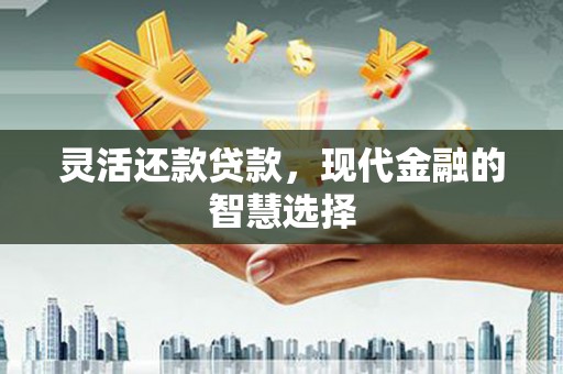 滨州灵活还款贷款，现代金融的智慧选择