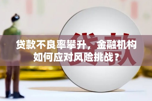 滨州贷款不良率攀升，金融机构如何应对风险挑战？