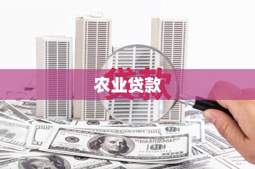 滨州农业贷款