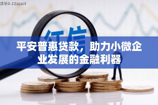 滨州平安普惠贷款，助力小微企业发展的金融利器