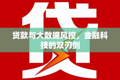 滨州贷款与大数据风控，金融科技的双刃剑