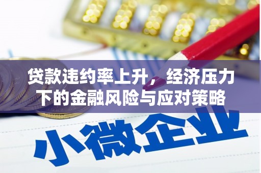 滨州贷款违约率上升，经济压力下的金融风险与应对策略
