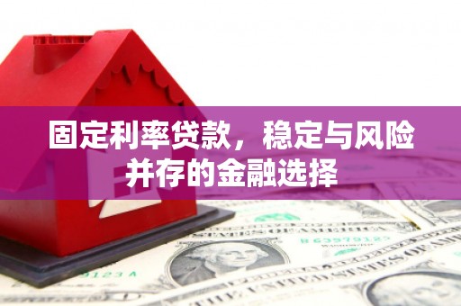 滨州固定利率贷款，稳定与风险并存的金融选择