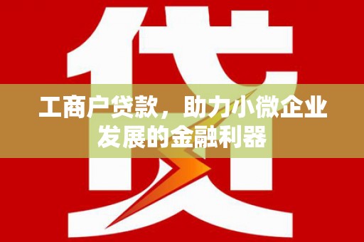 滨州工商户贷款，助力小微企业发展的金融利器