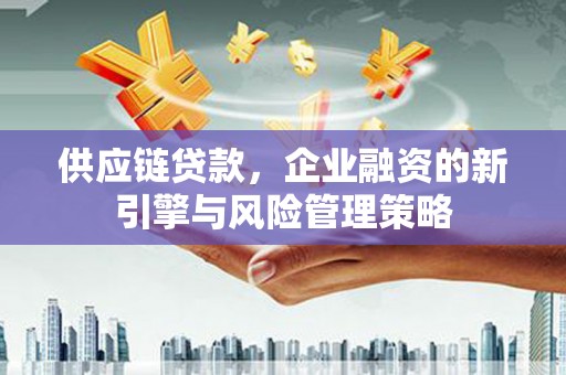 滨州供应链贷款，企业融资的新引擎与风险管理策略