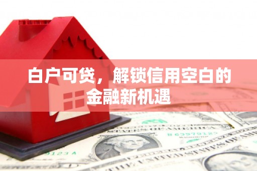 滨州白户可贷，解锁信用空白的金融新机遇