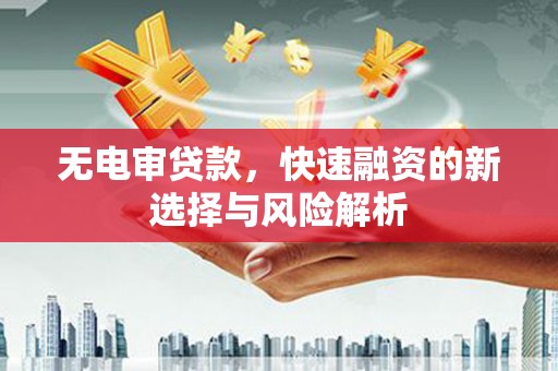 滨州无电审贷款，快速融资的新选择与风险解析