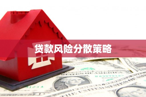滨州贷款风险分散策略