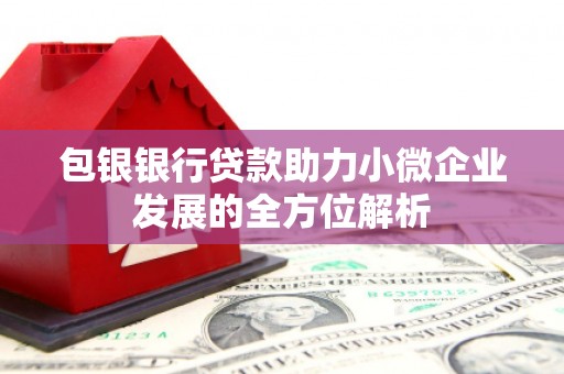 滨州包银银行贷款助力小微企业发展的全方位解析