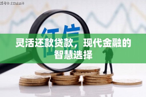滨州灵活还款贷款，现代金融的智慧选择