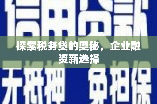 滨州探索税务贷的奥秘，企业融资新选择