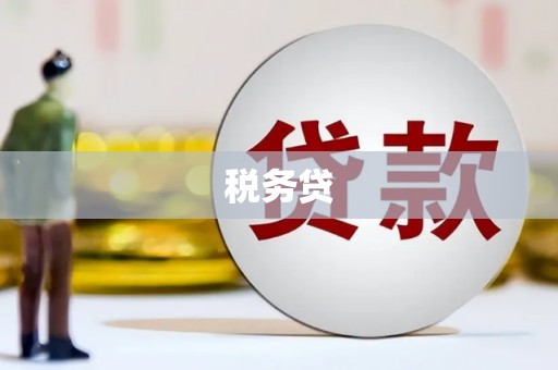 滨州税务贷