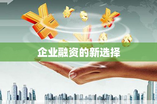 滨州企业融资的新选择
