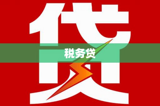 滨州税务贷
