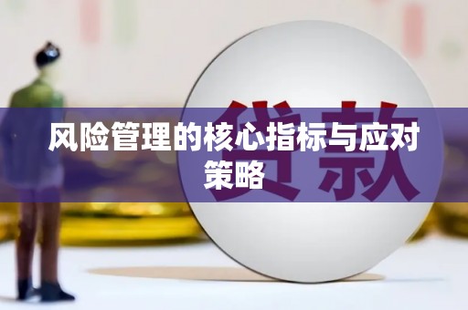 滨州风险管理的核心指标与应对策略