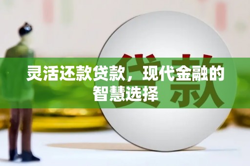 滨州灵活还款贷款，现代金融的智慧选择