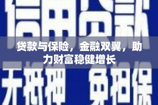 滨州贷款与保险，金融双翼，助力财富稳健增长