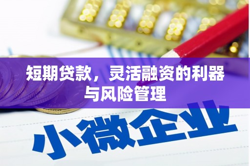 滨州短期贷款，灵活融资的利器与风险管理