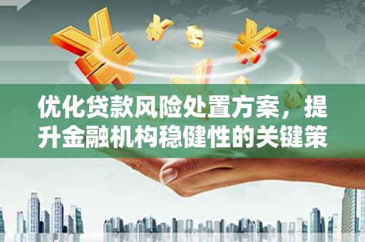 滨州优化贷款风险处置方案，提升金融机构稳健性的关键策略