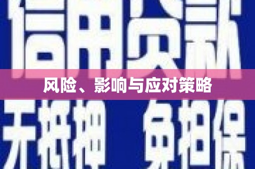 滨州风险、影响与应对策略