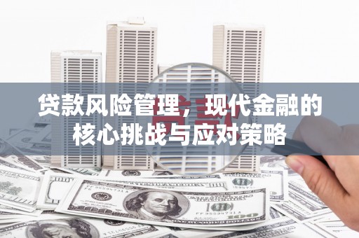 滨州贷款风险管理，现代金融的核心挑战与应对策略
