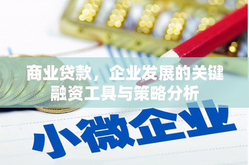 滨州商业贷款，企业发展的关键融资工具与策略分析