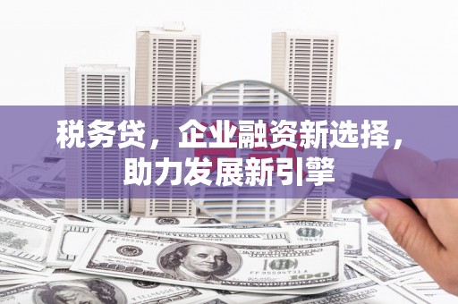 滨州税务贷，企业融资新选择，助力发展新引擎