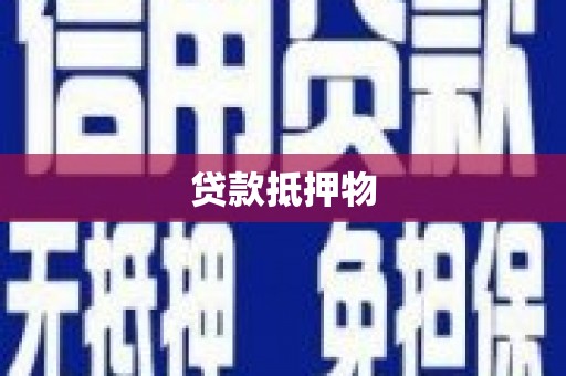 滨州贷款抵押物