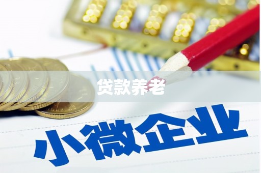 滨州贷款养老