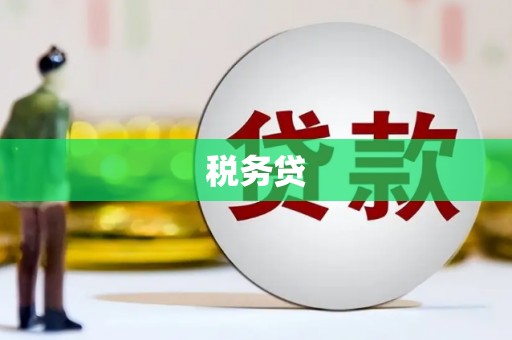 滨州税务贷