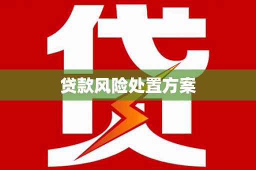 滨州贷款风险处置方案