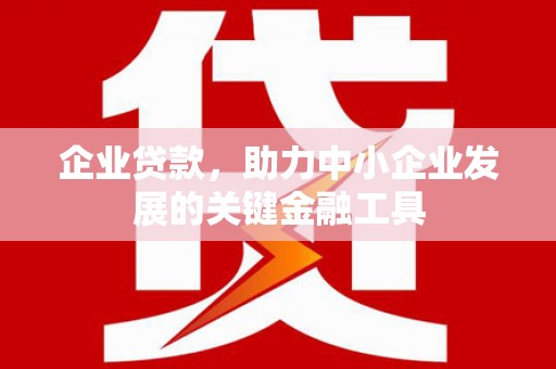 滨州企业贷款，助力中小企业发展的关键金融工具