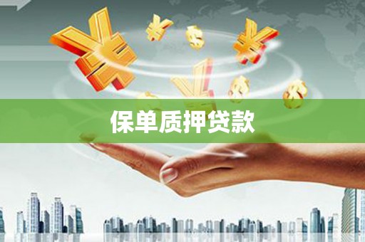 滨州保单质押贷款