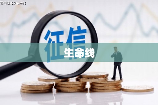 滨州生命线
