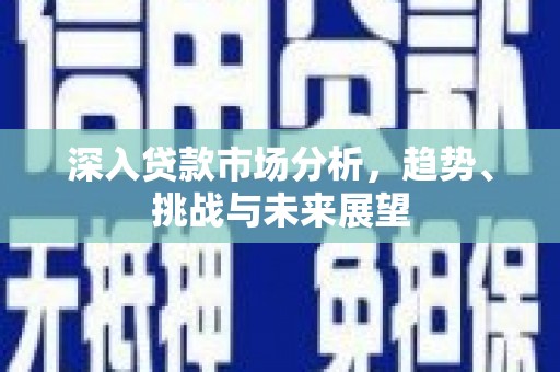 滨州深入贷款市场分析，趋势、挑战与未来展望