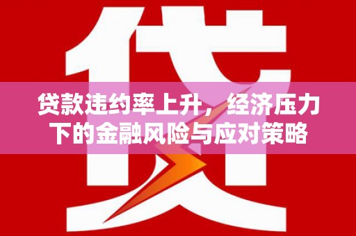 滨州贷款违约率上升，经济压力下的金融风险与应对策略