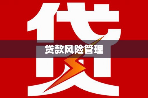 滨州贷款风险管理