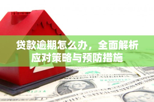 滨州贷款逾期怎么办，全面解析应对策略与预防措施