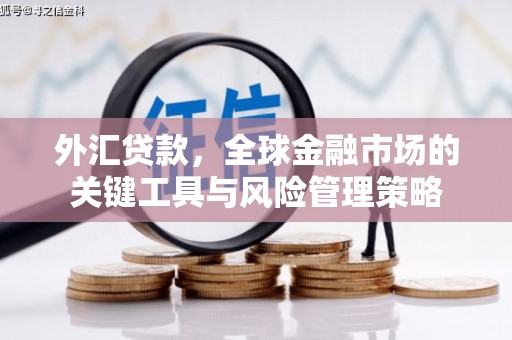 滨州外汇贷款，全球金融市场的关键工具与风险管理策略