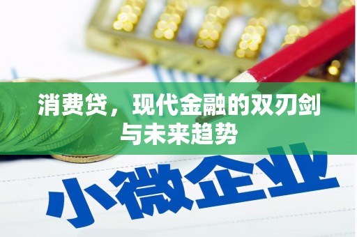 滨州消费贷，现代金融的双刃剑与未来趋势