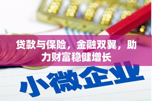 滨州贷款与保险，金融双翼，助力财富稳健增长