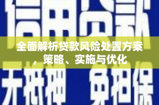 滨州全面解析贷款风险处置方案，策略、实施与优化