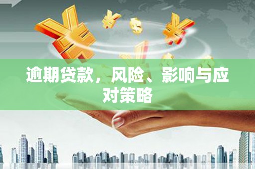 滨州逾期贷款，风险、影响与应对策略