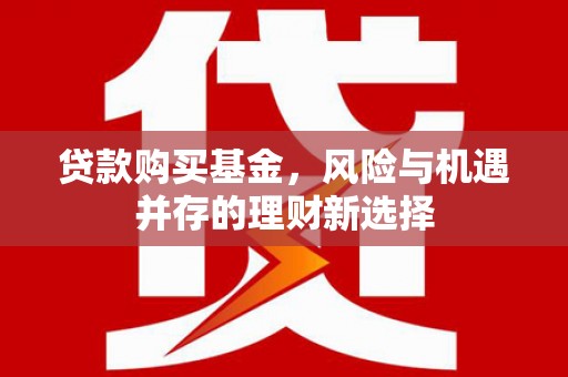 滨州贷款购买基金，风险与机遇并存的理财新选择