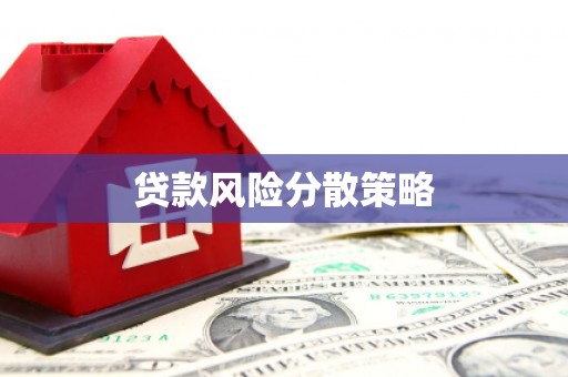滨州贷款风险分散策略