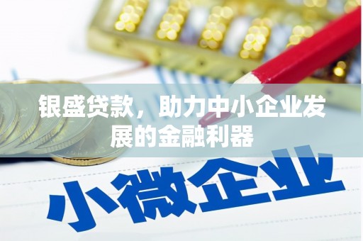 滨州银盛贷款，助力中小企业发展的金融利器
