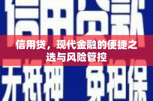 滨州信用贷，现代金融的便捷之选与风险管控