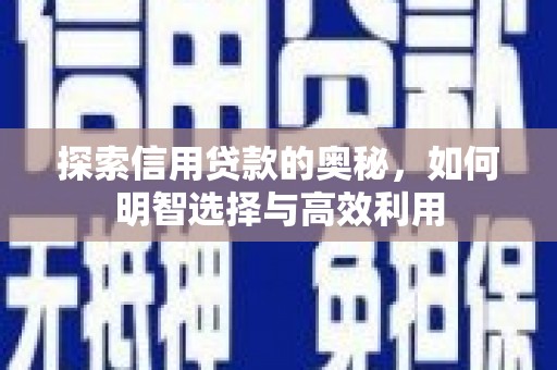 滨州探索信用贷款的奥秘，如何明智选择与高效利用